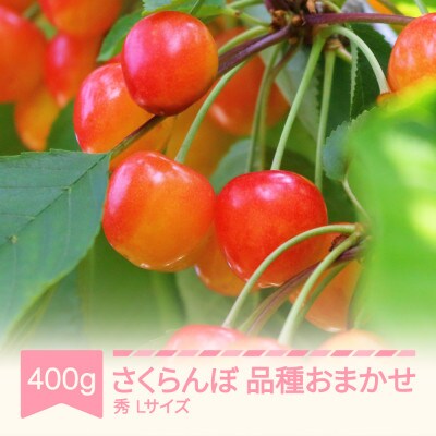 さくらんぼ　品種おまかせ　 秀 400g×1