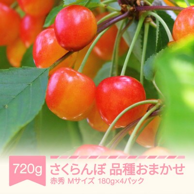 さくらんぼ品種おまかせ 赤秀M玉 180g×4