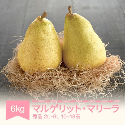 マルゲリット・マリーラ 2L-6L 秀品 6kg(3kg×2)