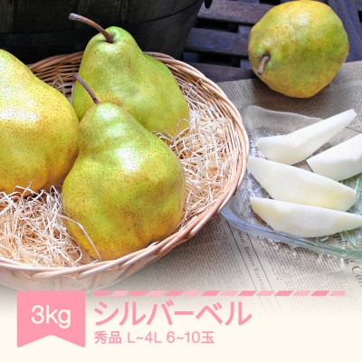 シルバーベル L-4L 秀品 3kg