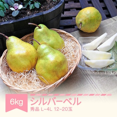 シルバーベル L-4L 秀品 6kg(3kg×2)