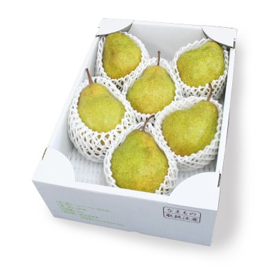 シルバーベル L-4L 秀品 6kg(3kg×2)