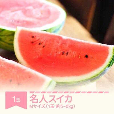 名人スイカ 大玉すいか　一玉(5～6kg)M