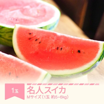令和9年産 名人すいか 大玉すいか 1玉(5～6kg) Mサイズ