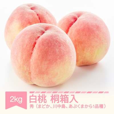 白桃 桐箱入 品種おまかせ 約2kg 2027年産