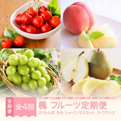 【発送月固定定期便】フルーツ定期便【楓】全4回
