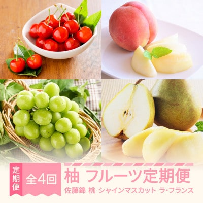 【発送月固定定期便】フルーツ定期便【柚】全4回