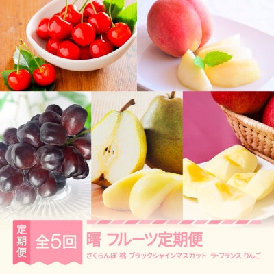 【発送月固定定期便】フルーツ定期便【曙】全5回