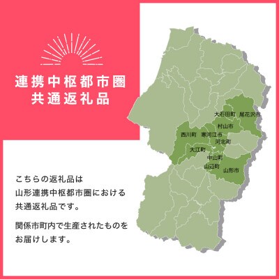 さくらんぼ 佐藤錦 秀Mサイズ 約800g(200g×4パック)  2025年産 山形県産