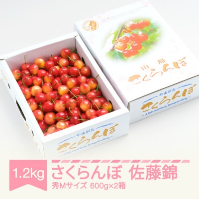 さくらんぼ 佐藤錦 秀Mサイズ 1.2kg(600g×2箱) バラ詰め 2026年産 山形県産
