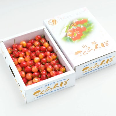 さくらんぼ 佐藤錦 秀Mサイズ 1.2kg(600g×2箱) バラ詰め 2026年産 山形県産