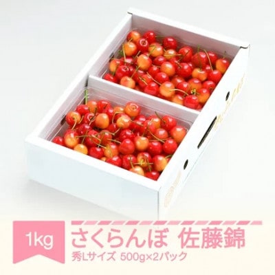 さくらんぼ 佐藤錦 秀Lサイズ 約1kg(500g×2パック) バラ詰め2026年産 山形県産