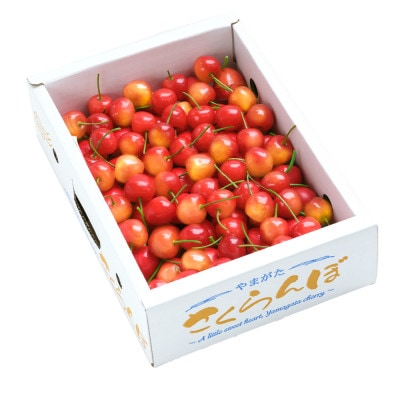 さくらんぼ 佐藤錦 秀Mサイズ 600g(600g×1) バラ詰め 2026年産 山形県産