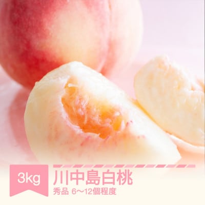 2025年産 桃 川中島白桃 秀品 約3kg (6~12個程度) 山形県産