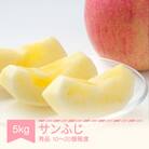 2025年産 りんご サンふじ 秀品 約5kg (10～20個程度) 山形県産