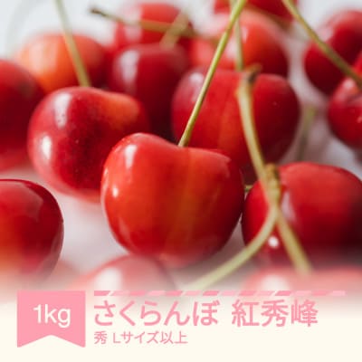 2025年産 さくらんぼ 紅秀峰 1kg Lサイズ 以上 山形県産