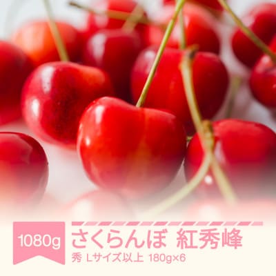 2027年産 さくらんぼ 紅秀峰 1080g(180g×6) 秀 Lサイズ以上 山形県産
