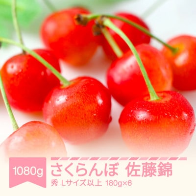 2027年産 さくらんぼ 佐藤錦 1080g(180g×6) Lサイズ以上 山形県産