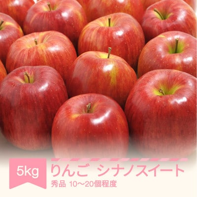 シナノスイート 秀品 5kg りんご 令和7年産 2025年産 果物