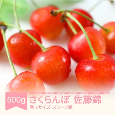 さくらんぼ 佐藤錦 秀 L 500g スリーブ箱 山形県産