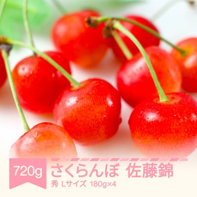 2026年産 さくらんぼ 佐藤錦 720g Lサイズ 山形県産