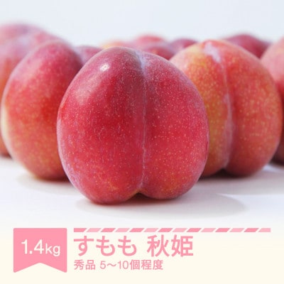 すもも 秋姫 秀品 約1.4kg (5～10個程度) 令和8年産