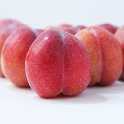 すもも 秋姫 秀品 約1.4kg (5～10個程度) 令和8年産