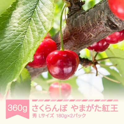 さくらんぼ　やまがた紅王　Lサイズ　360g(180g×2パック)