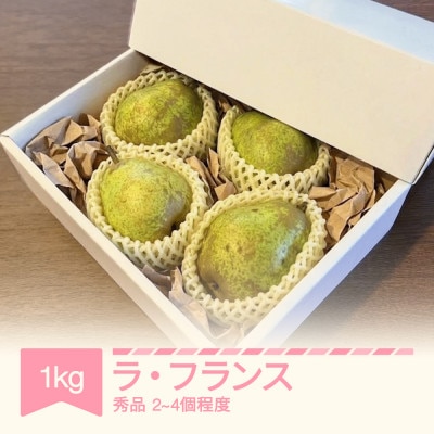 ラ・フランス 洋梨　秀品 約1kg(2～4個程度)