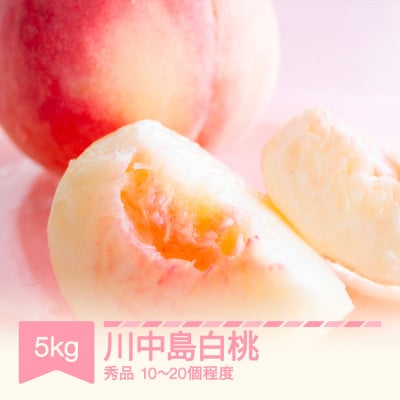 2027年産 桃 川中島白桃 秀品 約5kg(10～20個程度) 山形県産