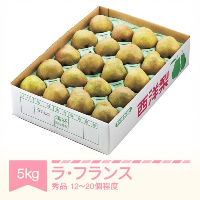 ラ・フランス 洋梨 秀品 約5kg(12～20個程度) 令和8年産