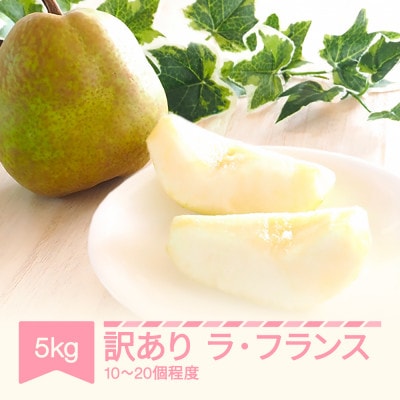 令和8年産 ラ・フランス 訳あり 約5kg(10～20個程度)