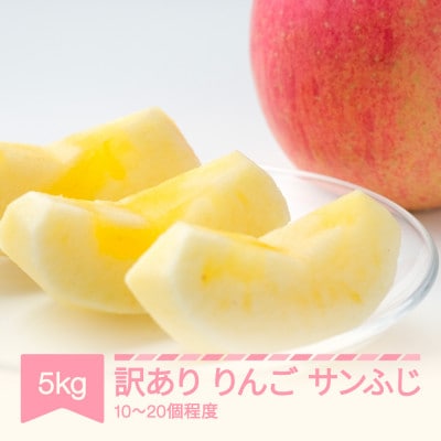 2026年産 訳あり りんご サンふじ 秀品 約5kg (10～20個程度) 山形県産