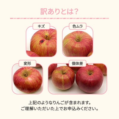 2026年産 訳あり りんご サンふじ 秀品 約5kg (10～20個程度) 山形県産