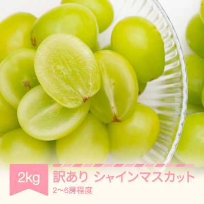 2027年産 シャインマスカット 訳あり 約2kg(2～6房程度)  山形県産
