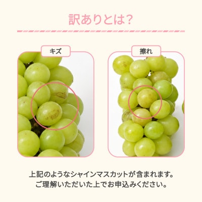2027年産 シャインマスカット 訳あり 約2kg(2～6房程度)  山形県産