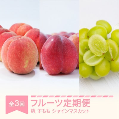 【発送月固定定期便】フルーツ定期便【白桃・すもも・シャインマスカット】全3回