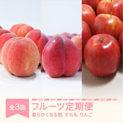 【発送月固定定期便】フルーツ定期便【白桃・すもも・りんご】全3回