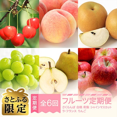 【発送月固定定期便】【さとふる限定】フルーツ定期便全6回