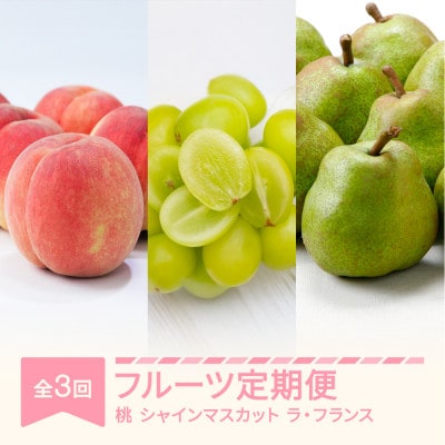 【発送月固定定期便】フルーツ定期便全3回