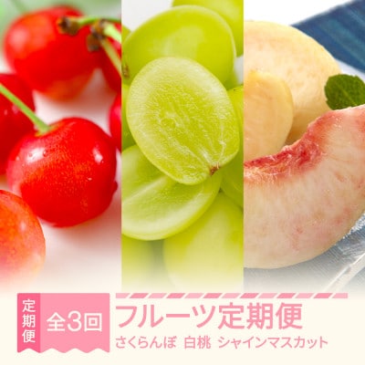 【発送月固定定期便】フルーツ定期便全3回