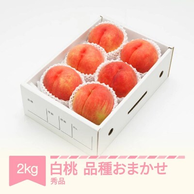 先行予約 白桃 秀品 化粧箱入り 2kg 令和7年産