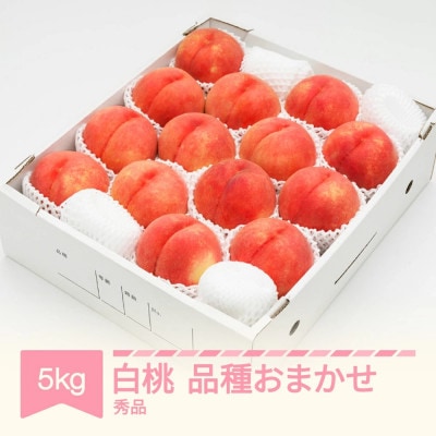 先行予約 白桃 秀品 化粧箱入り 5kg 令和7年産