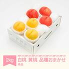 先行予約 白桃&有袋黄桃 秀品 化粧箱入り 計2kg 令和8年産