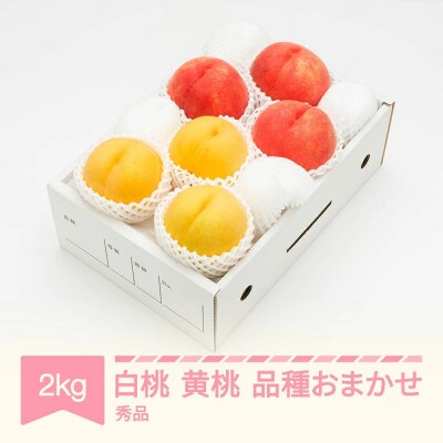 先行予約 白桃&有袋黄桃 秀品 化粧箱入り 計2kg 令和7年産