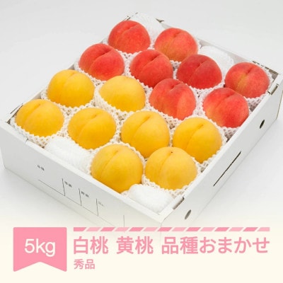 先行予約 白桃&有袋黄桃 秀品 化粧箱入り 計5kg 令和7年産