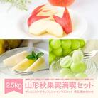 山形秋果実満喫セット サンふじ&ラフランス&シャインマスカット 計約2.5kg 令和7年産