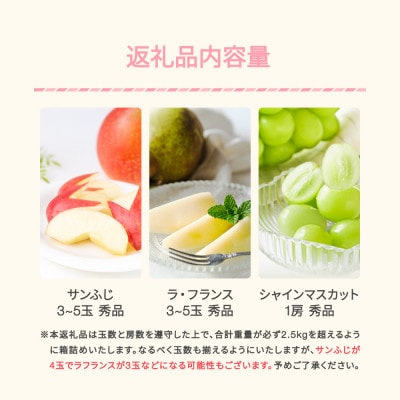 山形秋果実満喫セット サンふじ&ラフランス&シャインマスカット 計約2.5kg 令和7年産