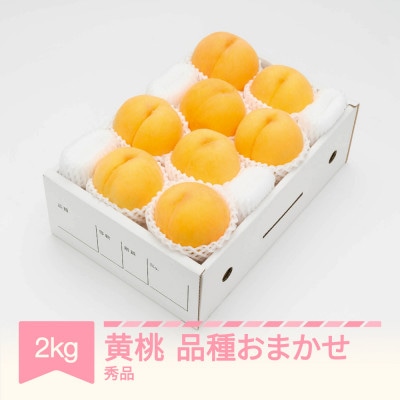 【先行受付】 有袋黄桃 秀品 品種おまかせ 化粧箱入り 約2kg 令和8年産