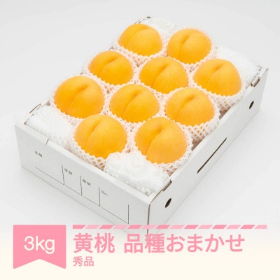 【先行受付】 有袋黄桃 秀品 品種おまかせ 化粧箱入り 約3kg 令和8年産